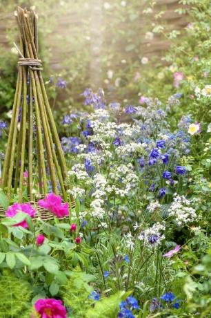 Schönes vibrierendes englisches Hüttengartenblumenbeet mit Weidenpflanzenunterstützung im dunstigen Sommersonnenschein