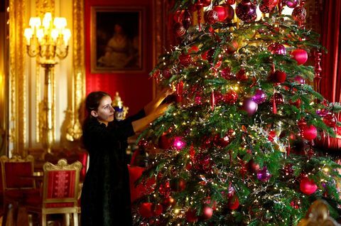 weihnachtsbaum im purpurroten salon auf schloss windsor