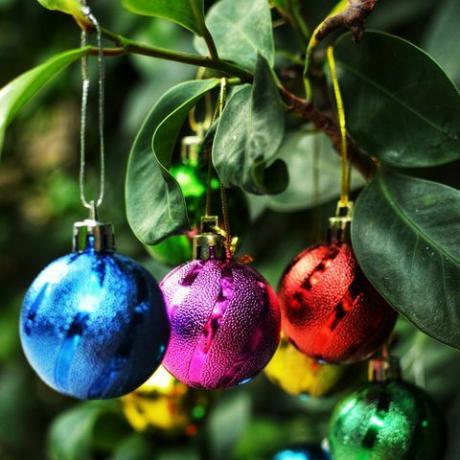 tropischer Weihnachtsbaum mit bunten Kugeln