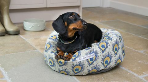 M & H Donut Hundebett, Pfau Print