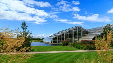 Wisley RHS Gewächshaus