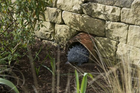 Der erste dauerhafte Garten in der Hedgehog Street in Großbritannien wurde in RHS Harlow Carr, North Yorkshire, enthüllt