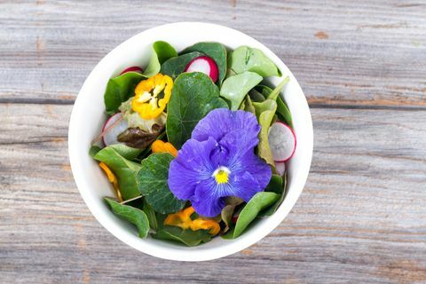 frischer gemischter Salat mit Radieschenblüten und Kapuzinerkresse