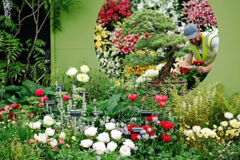 Chelsea Flower Show 2019 aufgebaut