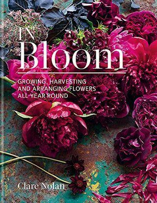 In Bloom: Das ganze Jahr über Blumen anbauen, ernten und arrangieren