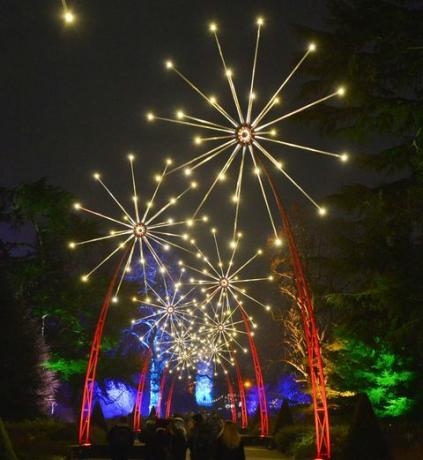 Kew Gardens leuchten zu Weihnachten