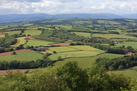 Kemeys Folly - Coed Y Caerau Lane - Ansichten - Savills