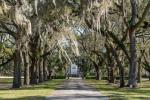 Dieses neu gelistete historische Anwesen in Charleston ist der Fixierer Ihrer Träume