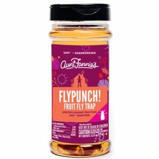 FlyPunch! Fruchtfliegenfalle