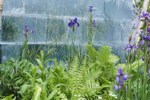 chelsea flower show 2022 der plantman’s ice garden, entworfen von john warland sanctuary garden