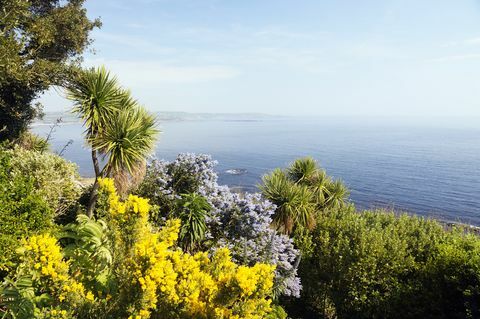 Bunter Garten über dem Meer