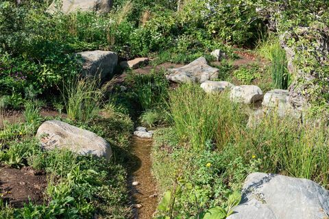 Countryfiles Garten zum 30-jährigen Jubiläum. Entworfen von: Ann-Marie Powell. Feature Garten. RHS Hampton Court Palace Blumenschau 2018