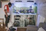 Home Aquarium: Ein Aquarium ist im Grunde Live-Kunst für Ihr Zuhause – so halten Sie eines