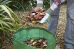 5 Möglichkeiten, Herbstlaub in Ihren Garten zu bringen