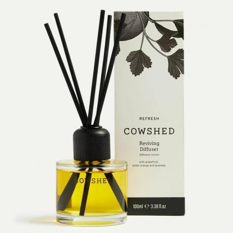 Refresh-Diffusor 100ml