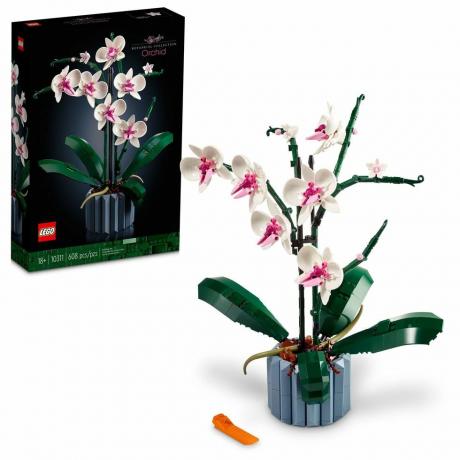 Ikonen Orchidee