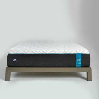 Queen Sealy to Go 12-Zoll-Memory-Foam-Matratze