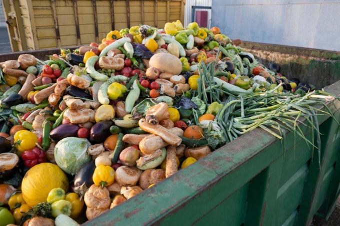 Abgelaufene organische Bioabfälle mischen Gemüse und Obst in einem riesigen Container, in einem Mülleimerhaufen Kompost aus Gemüse oder Futter für Tiere