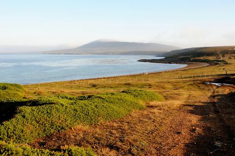 Landschaft in der Nähe von Pebble Island Lodge, Pebble Island / Falkland Islands