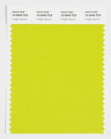 pantone frühlingssommer 2022 farbtrends