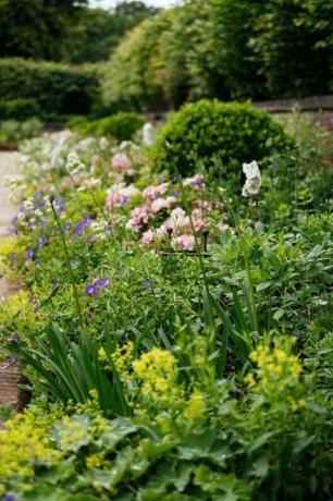 neues Design für den versunkenen Garten im Kensington Palace