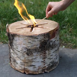 Light n 'Go Bonfire Log