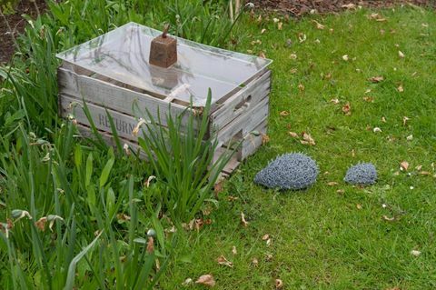 Der erste dauerhafte Garten in der Hedgehog Street in Großbritannien wurde in RHS Harlow Carr, North Yorkshire, enthüllt.