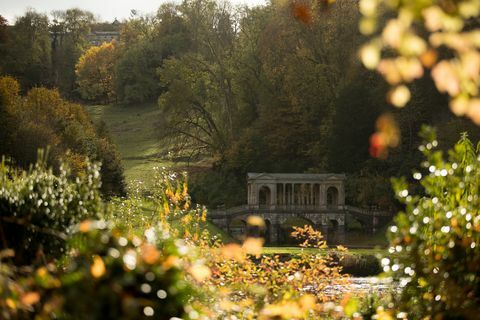 Herbstfarben erreichen ihren Höhepunkt in Großbritannien