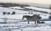 Das Met Office sagt, dass ein Kälteschnappen bevorsteht - aber wird es schneien?