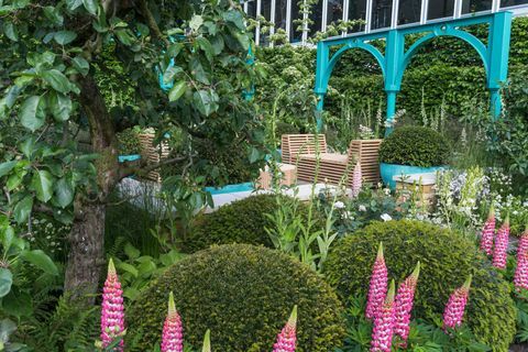 "500 Jahre Covent Garden" Der Sir Simon Milton Foundation Garden in Zusammenarbeit mit Capco. Entworfen von: Lee Bestall. Gefördert durch: Capital & Counties Properties PLC. RHS Chelsea Flower Show 2017