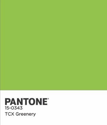 Pantone COTY 2017 Farbchip