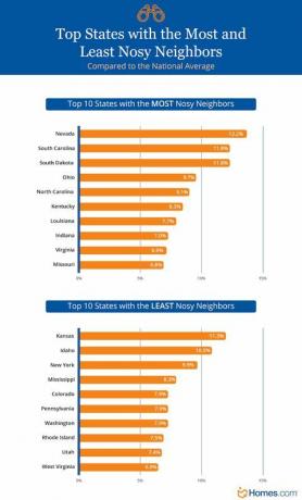 Infografik über die neugierigsten Nachbarn