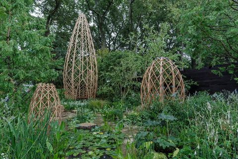 rhs chelsea flower show 2021 schaugärten