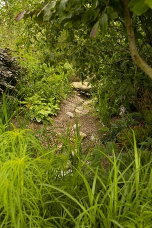 RhS-Garten für eine grüne Zukunft, entworfen von Jamie Butterworth, Hampton Court Palace Garden Festival 2021