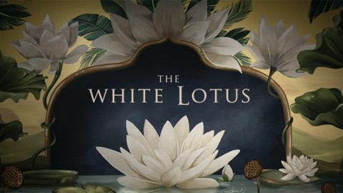 ein Wallpaper aus dem Vorspann von hbo's the white lotus