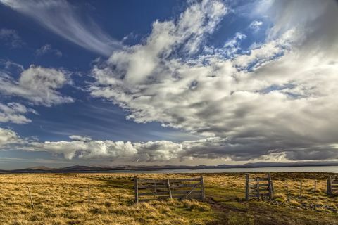 Zaun und Wolken im Licht des späten Nachmittages, Kieselinsel, Falklandinseln