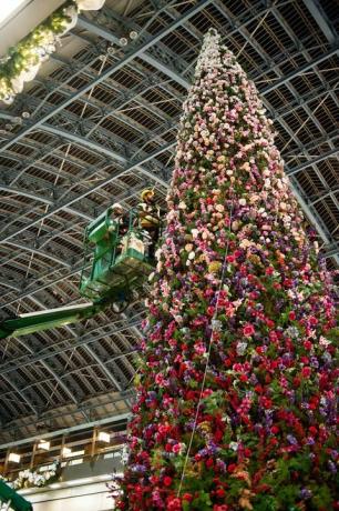 47ft Blumenweihnachtsbaum enthüllt in St. Pancras International Station, London.