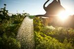 Dies ist das Zeitalter, in dem Briten offiziell im Garten arbeiten