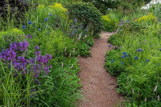 RhS-Garten für eine grüne Zukunft, entworfen von Jamie Butterworth, Hampton Court Palace Garden Festival 2021