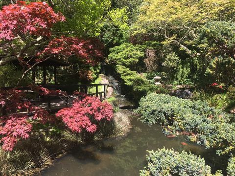 japanischer garten, newquay