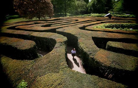 Hampton Court Maze begrüßt Besucher während des Bankfeiertagswochenendes