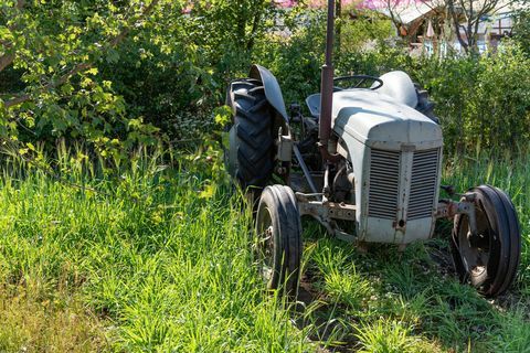 Countryfiles Garten zum 30-jährigen Jubiläum. Entworfen von: Ann-Marie Powell. Feature Garten. RHS Hampton Court Palace Blumenschau 2018