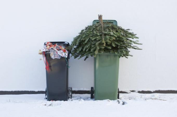 Recyceln Sie Ihren Weihnachtsbaum