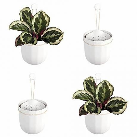 WallyGrow Loop Hanging Wall Planters (4er-Set) 