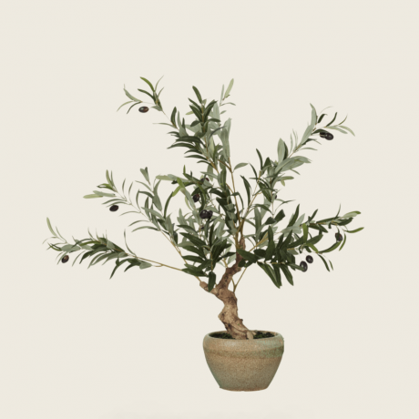 Künstlicher Miniatur-Olivenbaum
