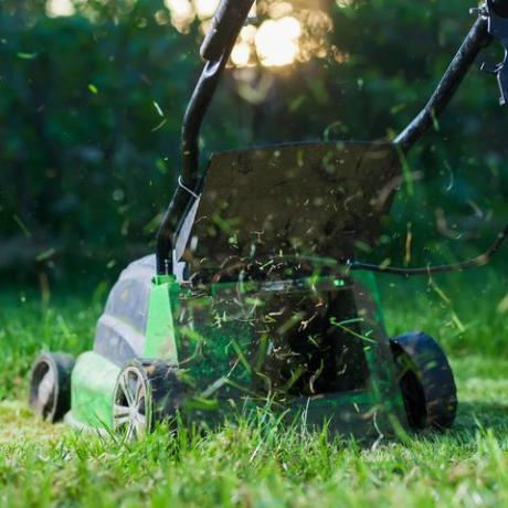 der garten rasen zu mähen oder nicht zu mähen, grüner rasenmäher