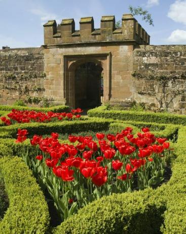 Kenilworth Castle Warwickshire Midlands England Vereinigtes Königreich