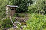 Chelsea Flower Show: Monty Don hinterfragt den Gewinn von Rewilding Garden