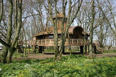 Ackergill Tower - Schottland - Baumhaus - Knight Frank