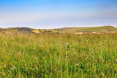 Szenische Ansicht des Feldes gegen Himmel